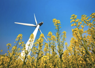 Harnessing the Wind: The Impact of Wind Farms on Illinois Real Estate - 1 (800) 880-7954