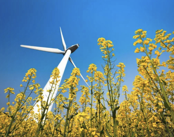 Harnessing the Wind: The Impact of Wind Farms on Illinois Real Estate