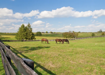 Navigating Farmland Real Estate Laws and Taxes in Illinois - 1 (800) 880-7954